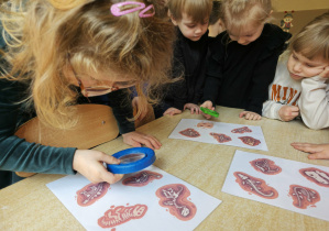 Dzień Dinozaura w grupie II.