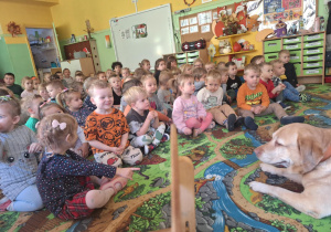 Zdjęcie 1 na 42