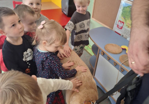 Zdjęcie 4 na 42