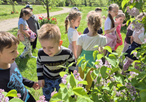 Wycieczka do ogrodu botanicznego Wiewiórek, Jeży i Lisów
