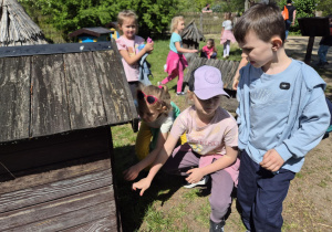 Wycieczka do ogrodu botanicznego Wiewiórek, Jeży i Lisów