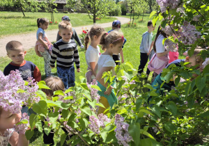 Wycieczka do ogrodu botanicznego Wiewiórek, Jeży i Lisów