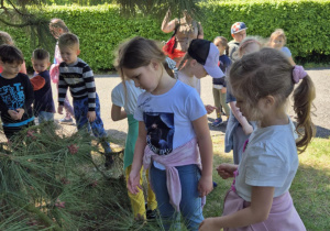 Wycieczka do ogrodu botanicznego Wiewiórek, Jeży i Lisów