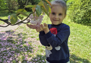 Wycieczka do ogrodu botanicznego Wiewiórek, Jeży i Lisów