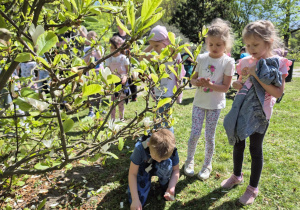 Wycieczka do ogrodu botanicznego Wiewiórek, Jeży i Lisów