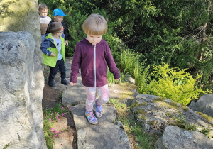Wycieczka do ogrodu botanicznego Wiewiórek, Jeży i Lisów