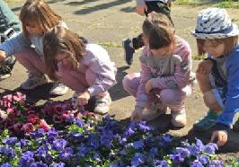 Wycieczka do ogrodu botanicznego Wiewiórek, Jeży i Lisów