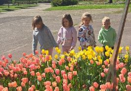 Wycieczka do ogrodu botanicznego Wiewiórek, Jeży i Lisów