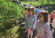 Wycieczka do ogrodu botanicznego Wiewiórek, Jeży i Lisów
