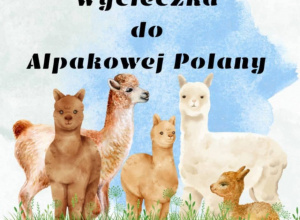Wycieczka Biedronek do "Alpakowej Polany".