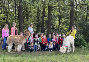 Biedronki w "Alpakowej Polanie"