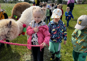 Biedronki w "Alpakowej Polanie"