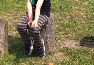 Biedronki w "Alpakowej Polanie"