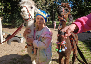 Alpaki w przedszkolu grupa III.