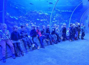 Wizyta w Orientarium grupy Biedronek i Jeży.